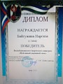 Байгужина Наргиза "Мой новый дорожный знак"