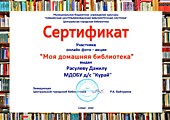 Расулев Данил "Моя домашняя библиотека"